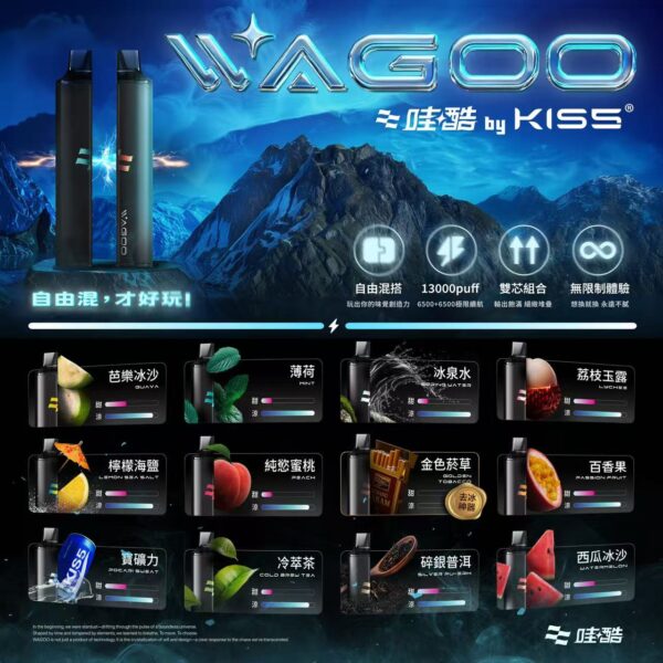 WAGOO哇酷拋棄式6500口10送一