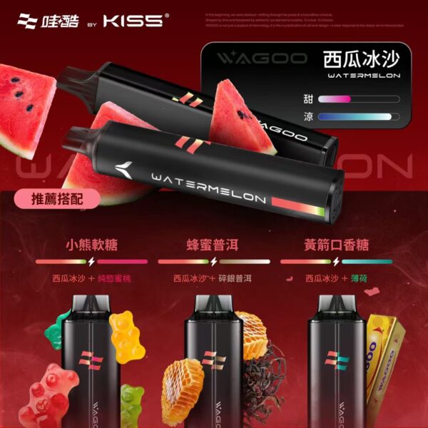 WAGOO哇酷拋棄式6500口10送一